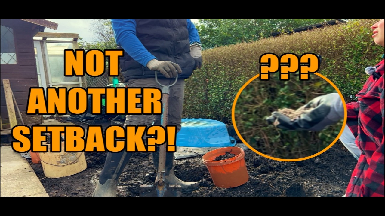 Day 20 | Manchester allotment | Buried SHOCK in Our Soil! 😳 But We Built a Beautiful Pond Anyway!