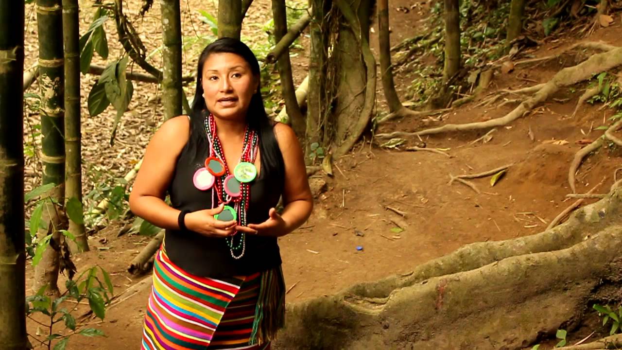 Cultura Tsáchila