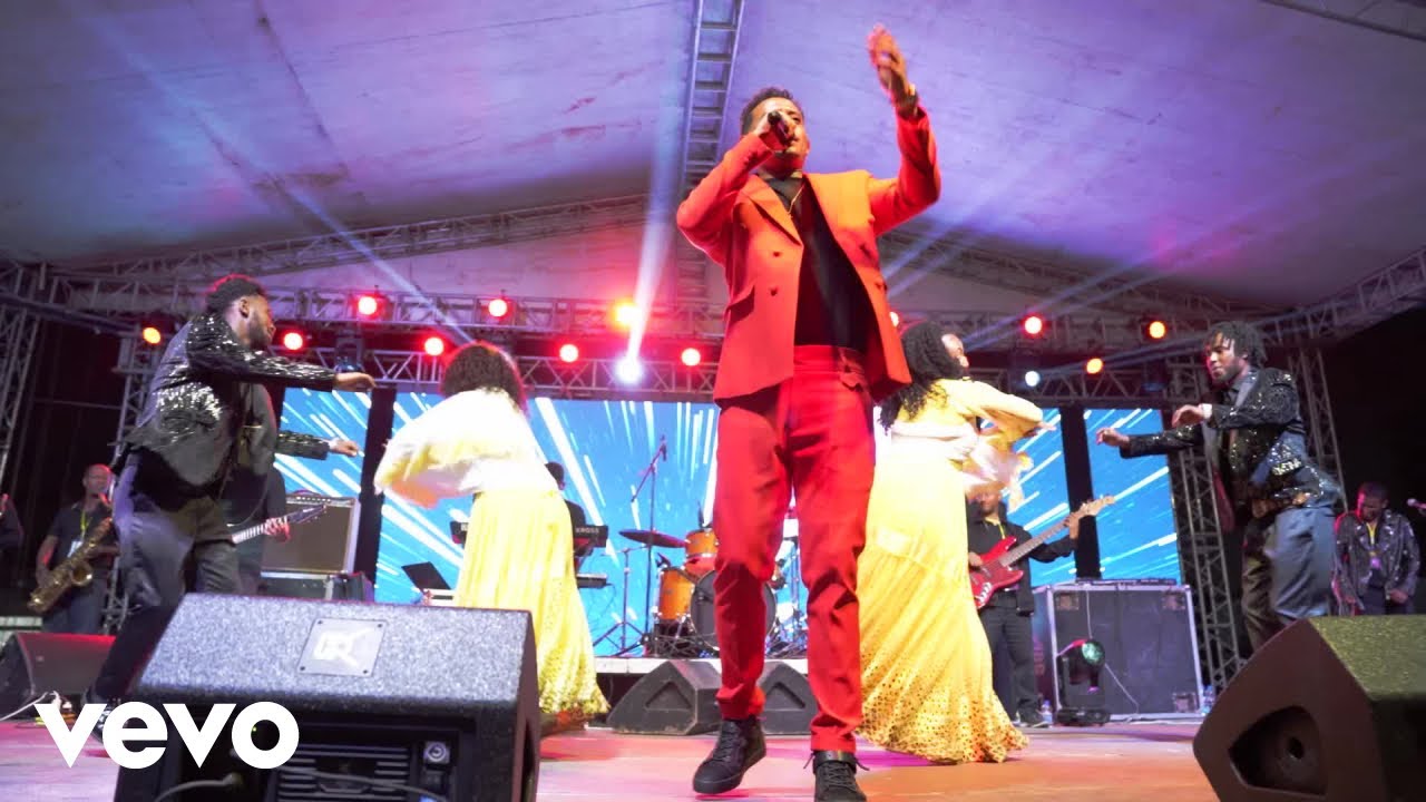 Leul Sisay - Zefkira - ዘፍቅራ _ Leul Concert (Official Music Video)