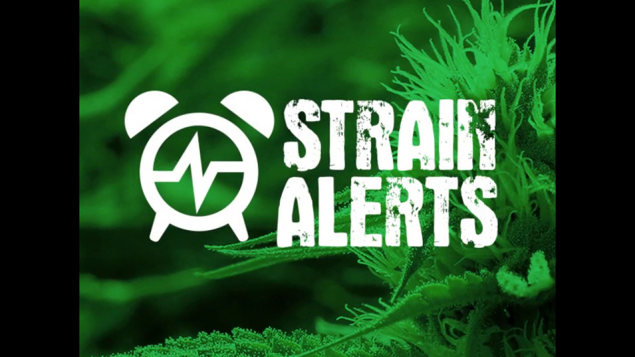 Novik Industries Strain Alerts