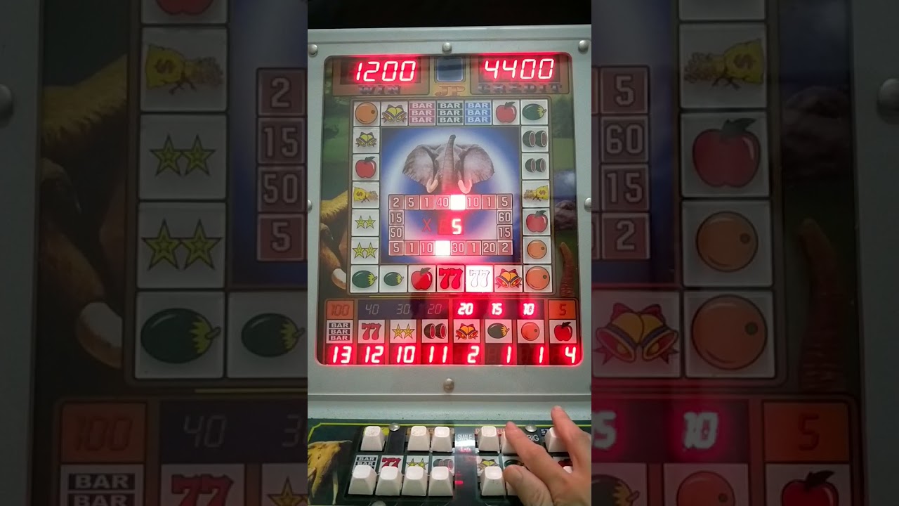 麻台 金象王 趁好訊號壓滿200真刺激，火車麻該開的都開了 結果？