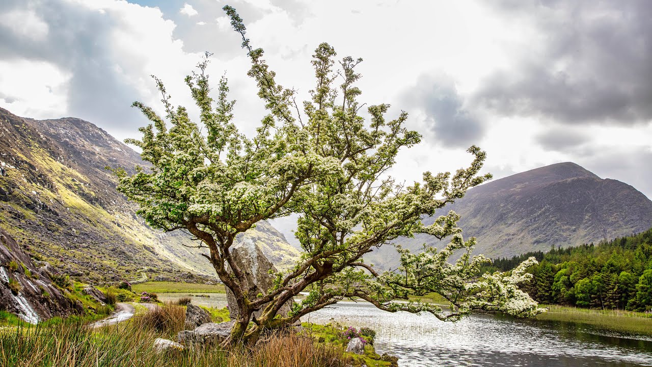 Gap of Dunloe and Black Valley part 2
