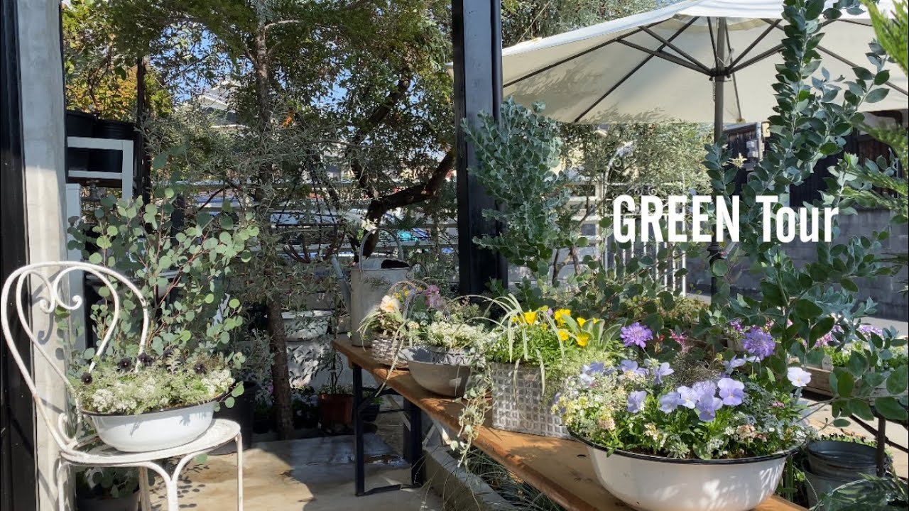 爽やかな秋の風にそよぐ姿が極上の癒し！自宅のワンフロアと思えない異国情緒漂うお花とフランスアンティークのお洒落ガーデニングショップ| kiccorie |  園芸/観葉植物店巡り | 奈良/押熊町