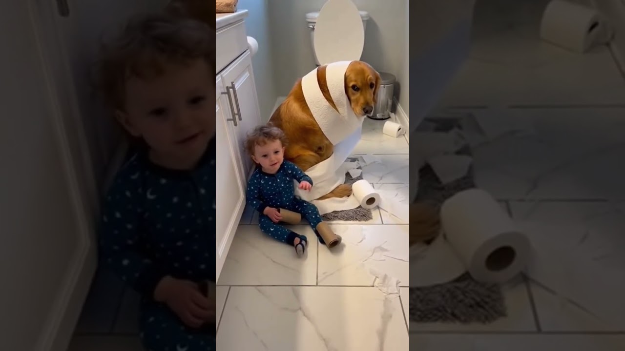Dziecko owinęło psa w papier toaletowy!🤣