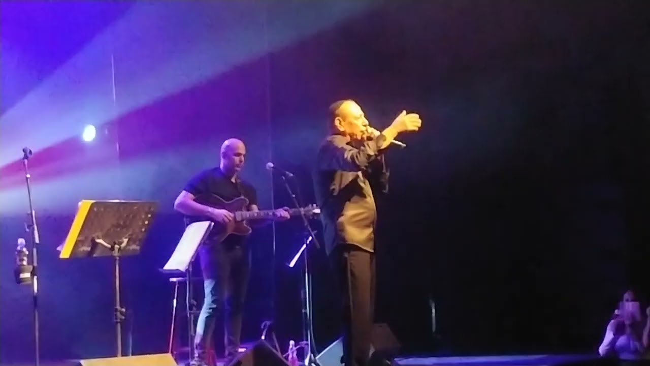 אבנר גדסי - לוליטה