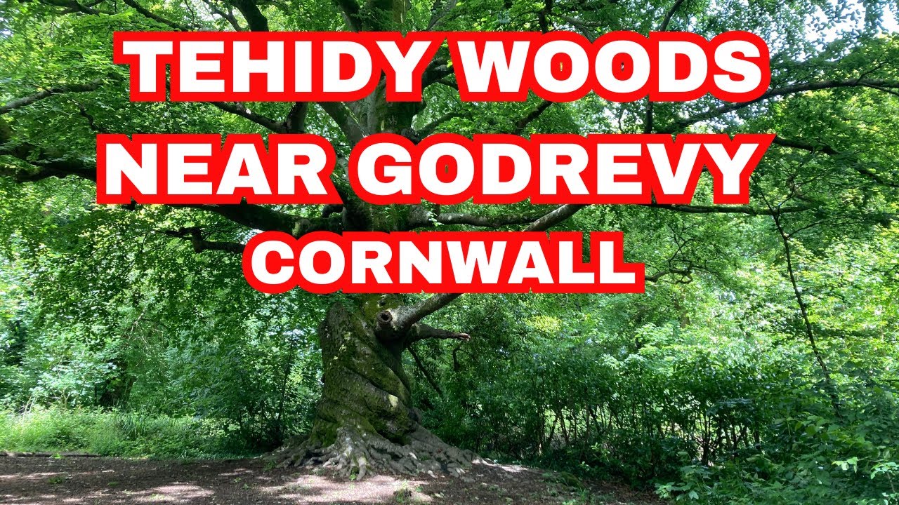 TEHIDY WOODS - Circular Accessible Route through the woods