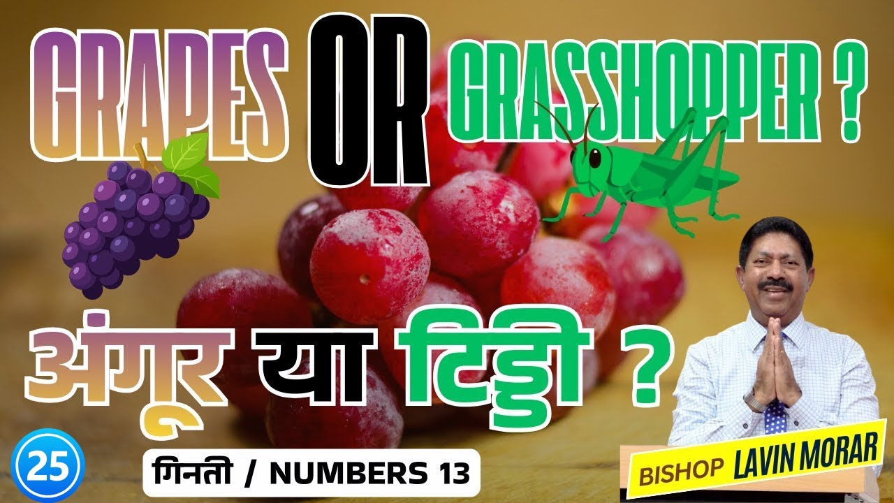 अंगूर या टिड्डी ? || Grapes or Grasshopper ? || The Book of Numbers || गिनती की किताब ||