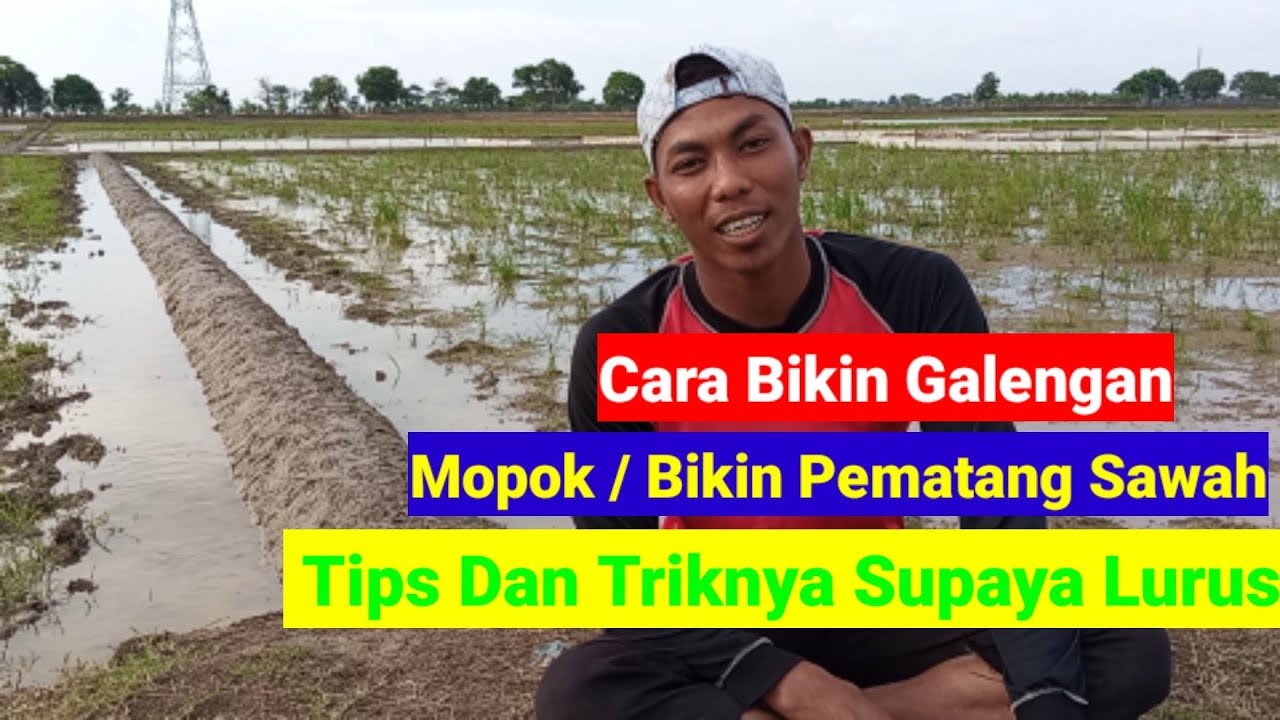 Cara Bikin Pematang / Mopok / Galeng Sawah
