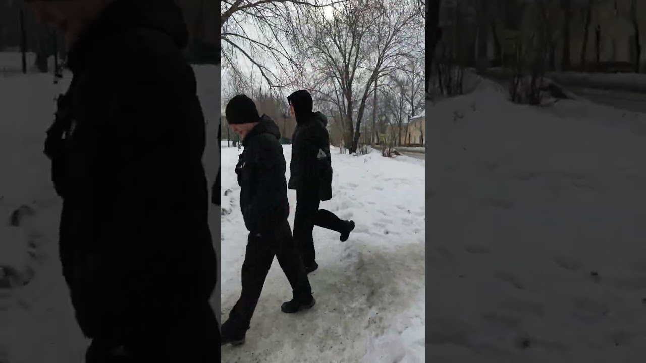 Обещанный снегопад, начался. 