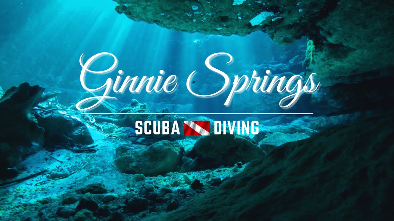 SCUBA Diving Ginnie Springs | Florida Spring Diving
