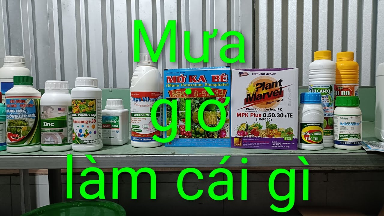 Những gì cần làm sau mưa. út hiền 0978603449