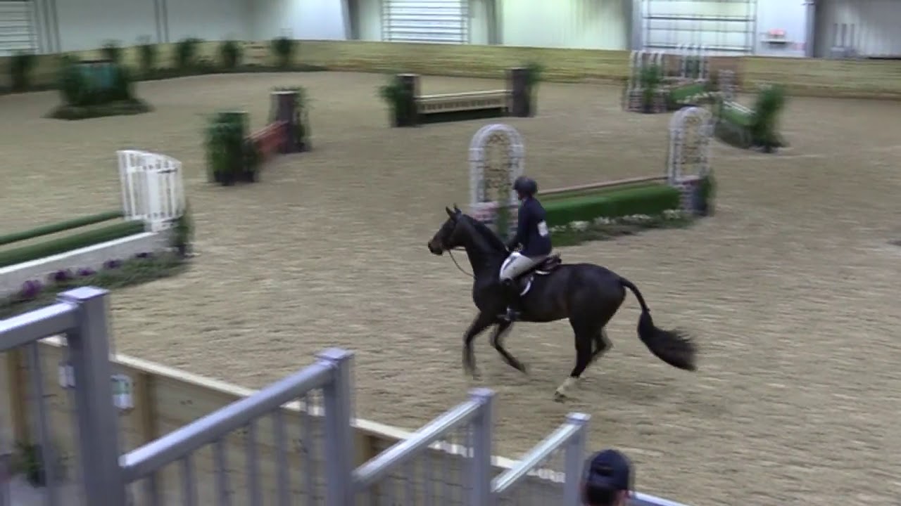 Video of NORDIC VAN DEN BISSCHOP ridden by MIA MARTIN from ShowNet!