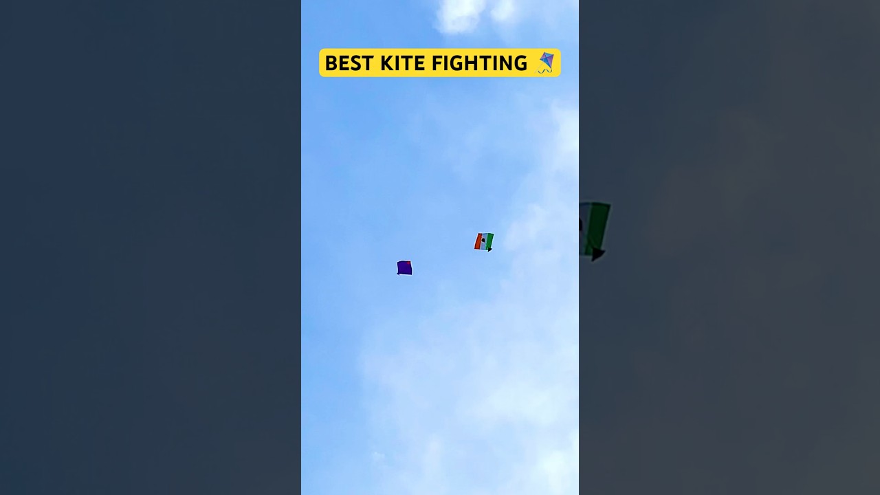 Best Kite Fighting 🔥|15 August kite flying #shorts #kiteflying #patangbazi #patang #kitevideo #kite