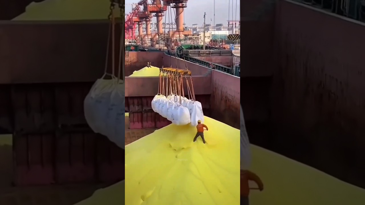 The Hidden Loss in Grain Shipping