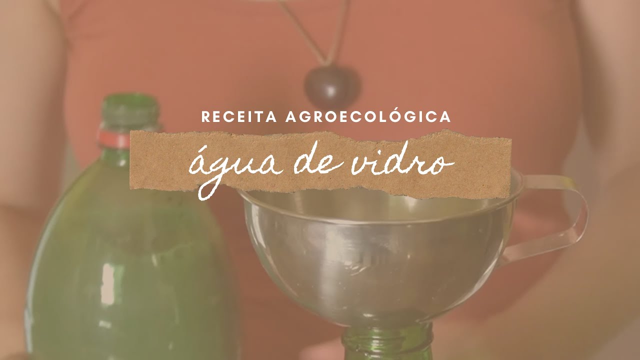 Receita de Água de vidro para fortalecimento das plantas