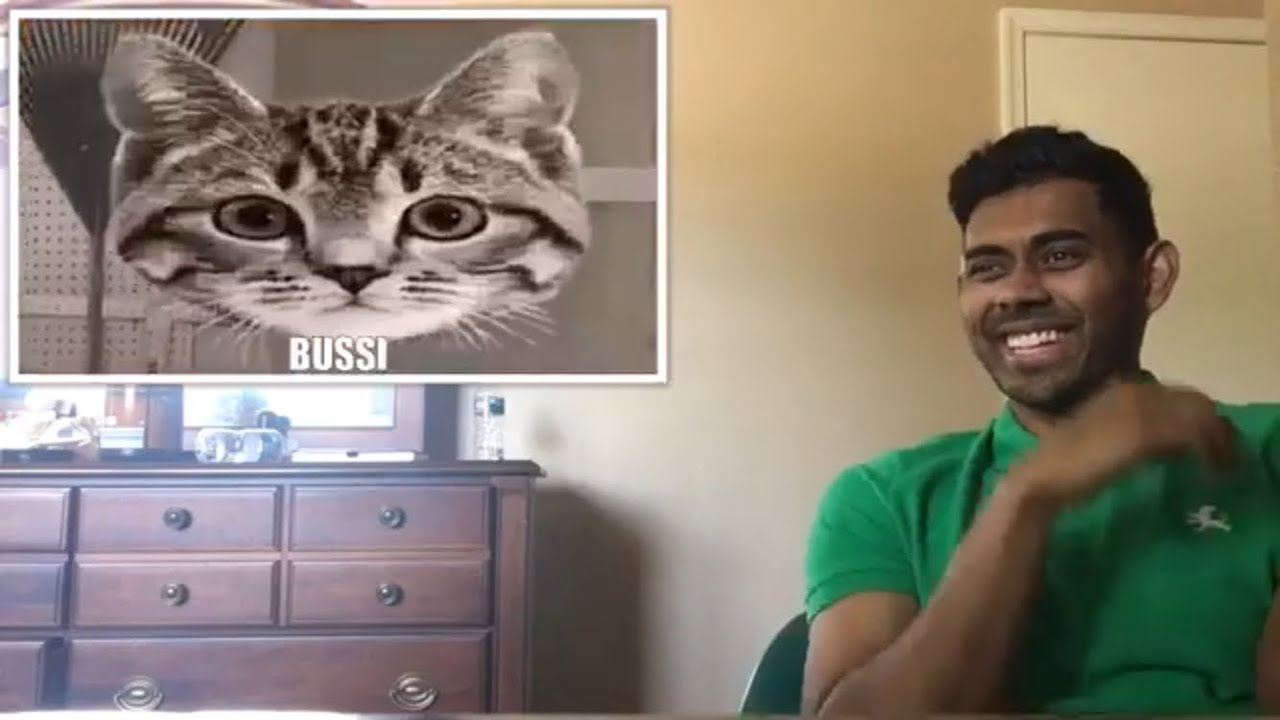 Phil Swift From Flex Tape Has a Mental Breakdown Flyingkitty reaction