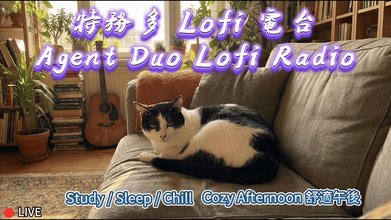 【特務多 Lofi 電台】1小時 讓你專注/放鬆/好眠的貓咪伴讀音樂 🎵🐱 Agent Duo's Cozy Room(1 Hour Lofi Hip Hop🐱💤Relax/Study/Sleep)