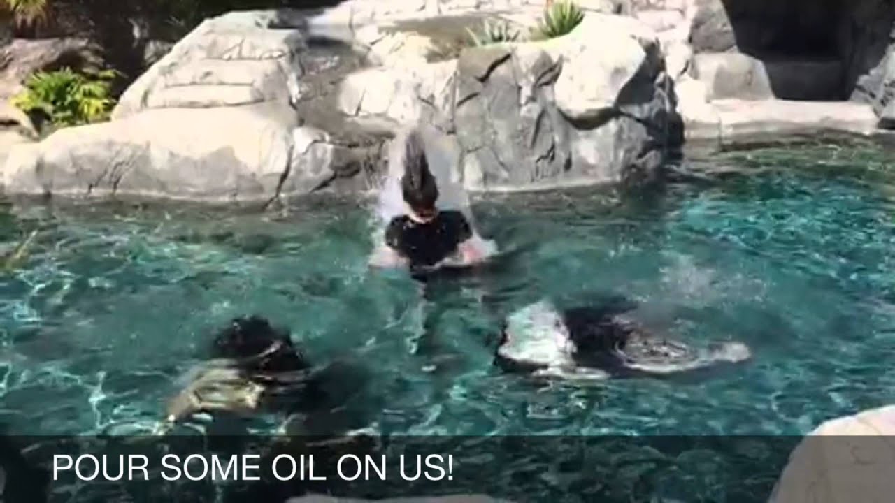 Embargo records: pour some oil on us!