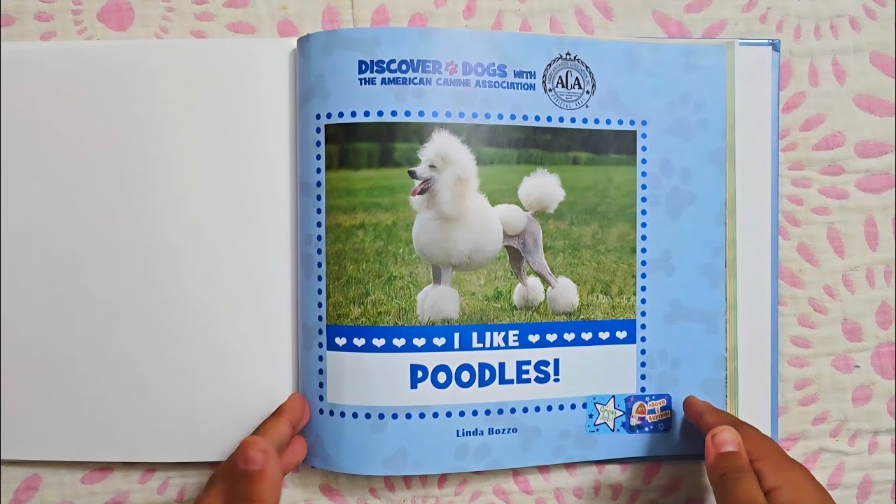 I like Poodles, by Linda Bozzo [442] Book Read Aloud #nonfiction #dogs #information #kidslearning 