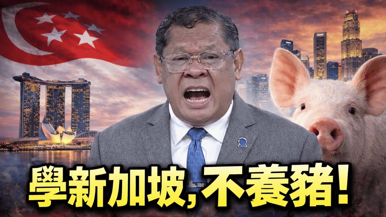 學新加坡不養豬，真的有解決問題嗎？