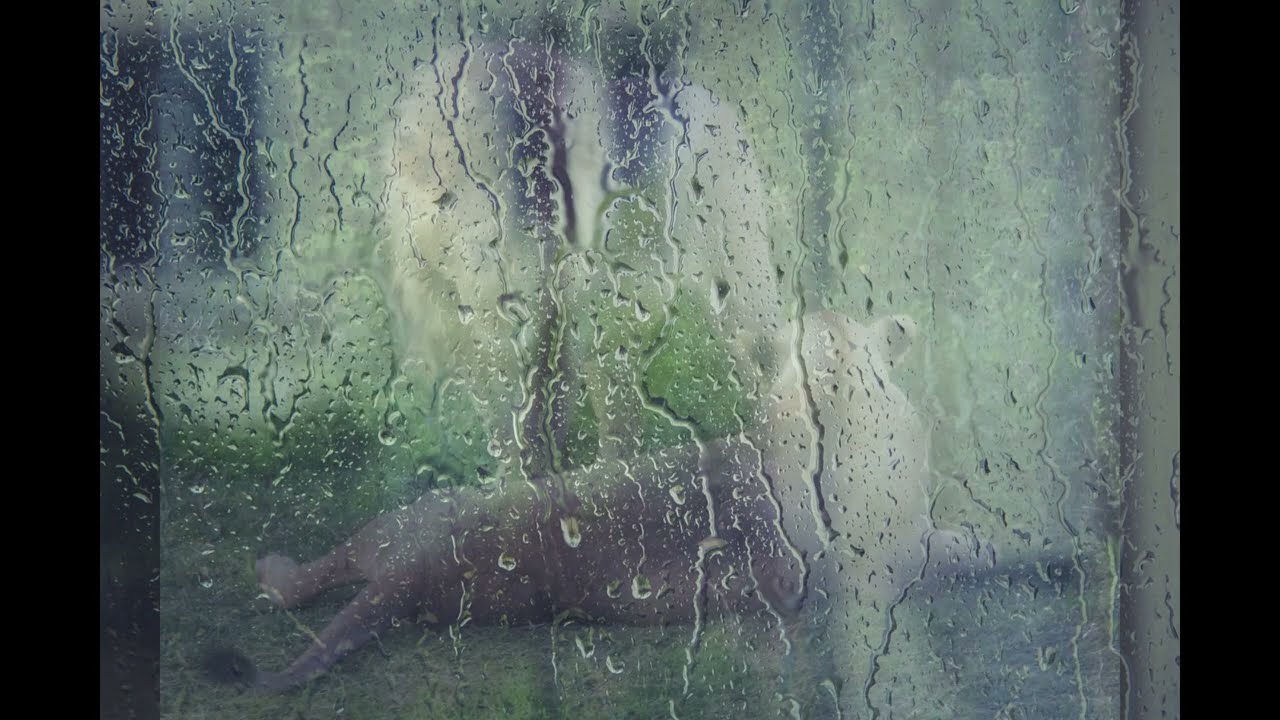 Rainy Day - Radim Melichar