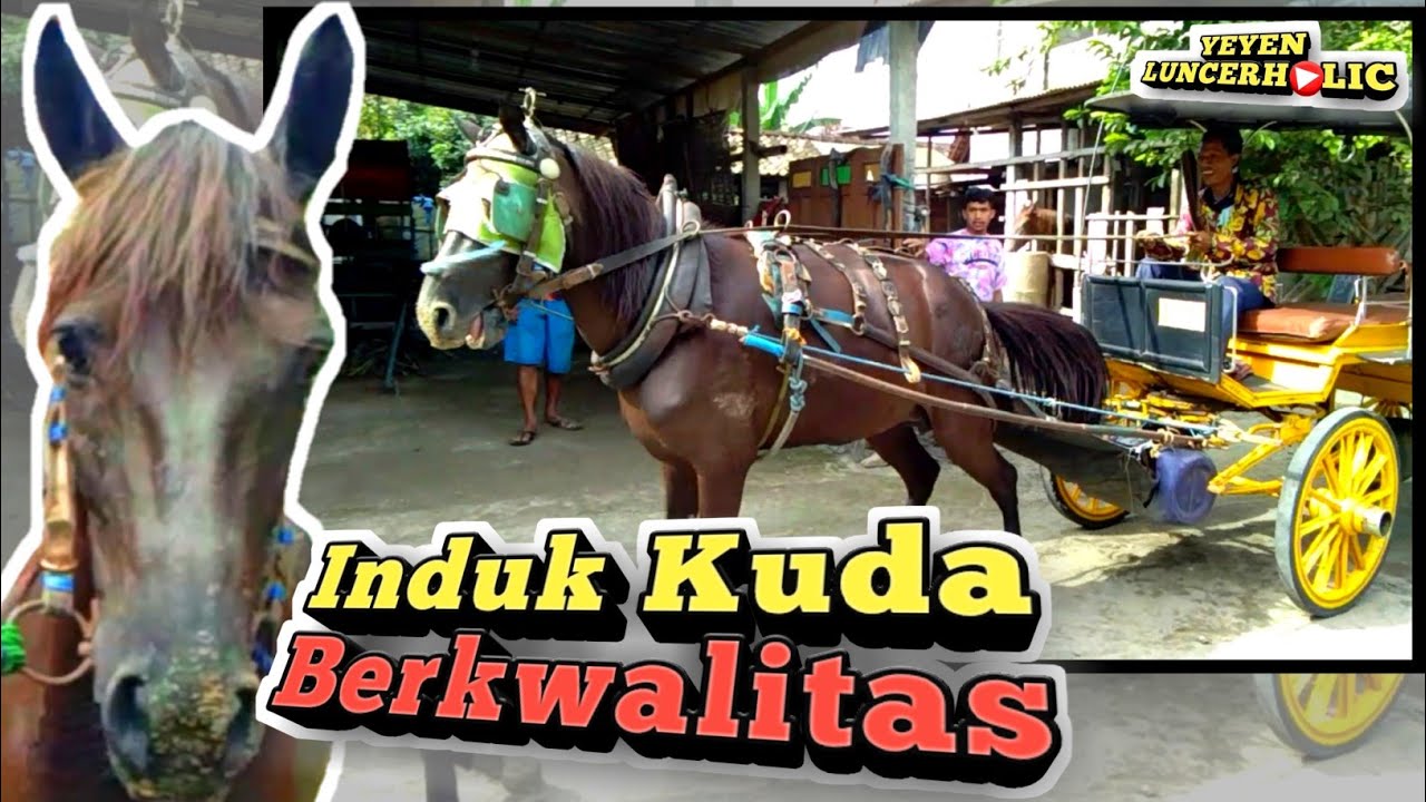 Betina Sandel Pak De Darno Dan Anak Indah Samudra