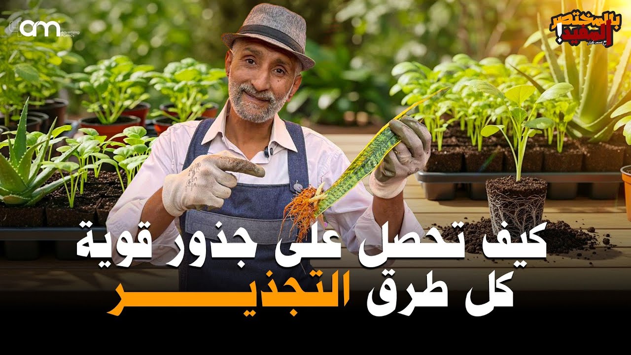  15 دقيقة فقط لإتقان فن التجذير  - كل طرق التجذير وتقوية الجذور في المنزل  