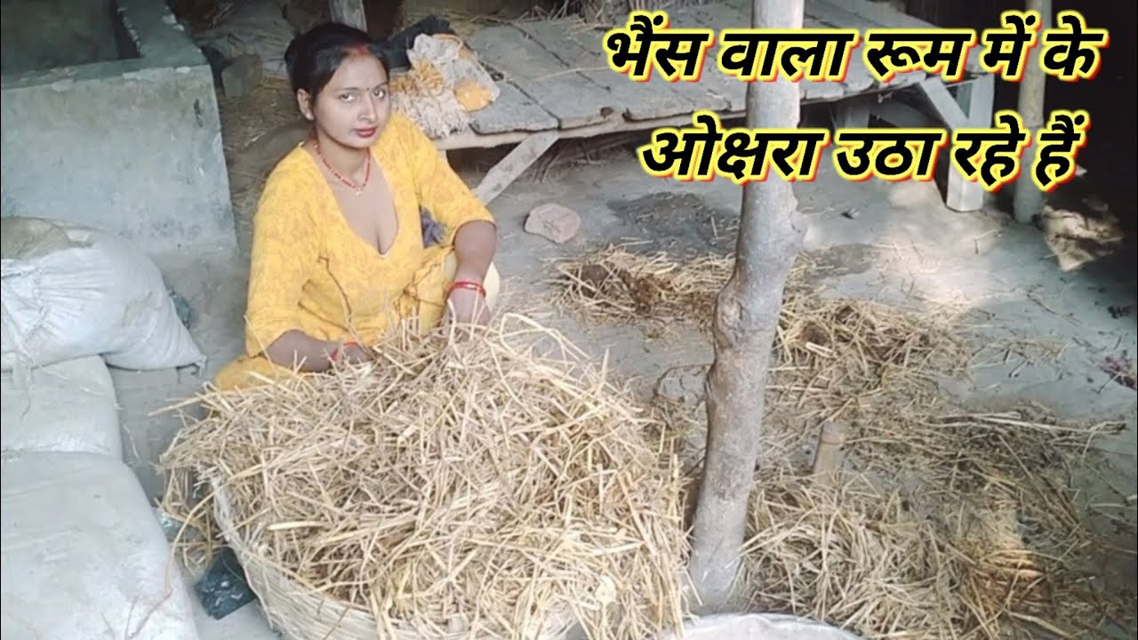 भैंस वाला रूम में के ओक्षरा उठा रहे हैंvlogs||vlog||viral vlog||#vlog#trending#viralvlogs