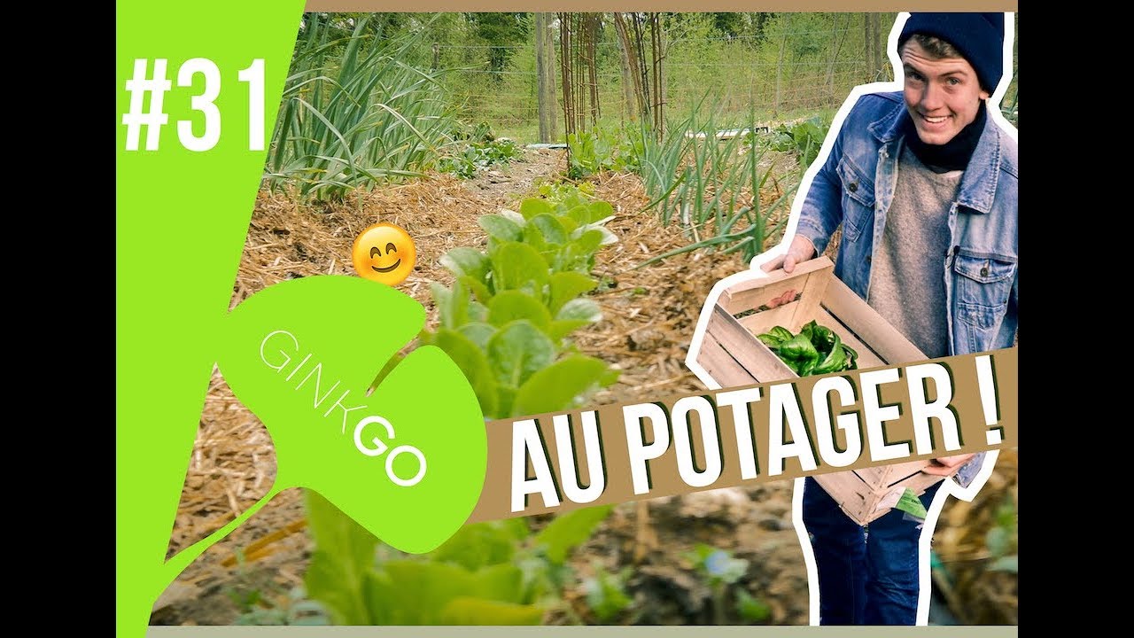 Potager BIO : protéger le SOL🌱- Le Paillis ♻︎