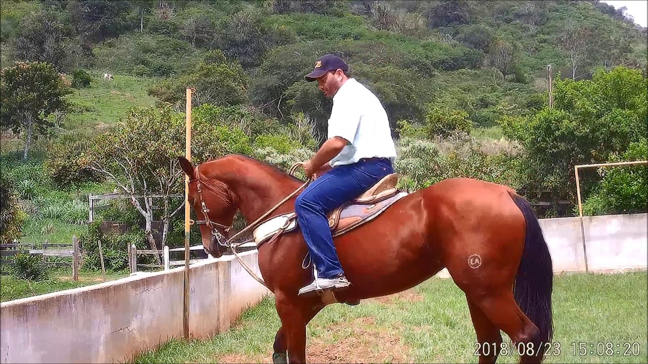 Draw Reins