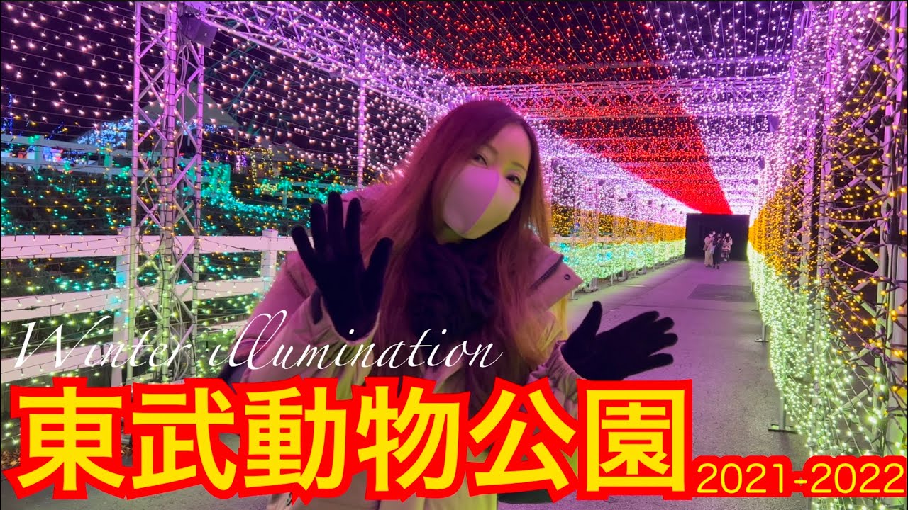 【4K映像】東武動物公園ウインターイルミネーション　【大型LEDビジョンで光と映像が織りなす幻想的な世界！】