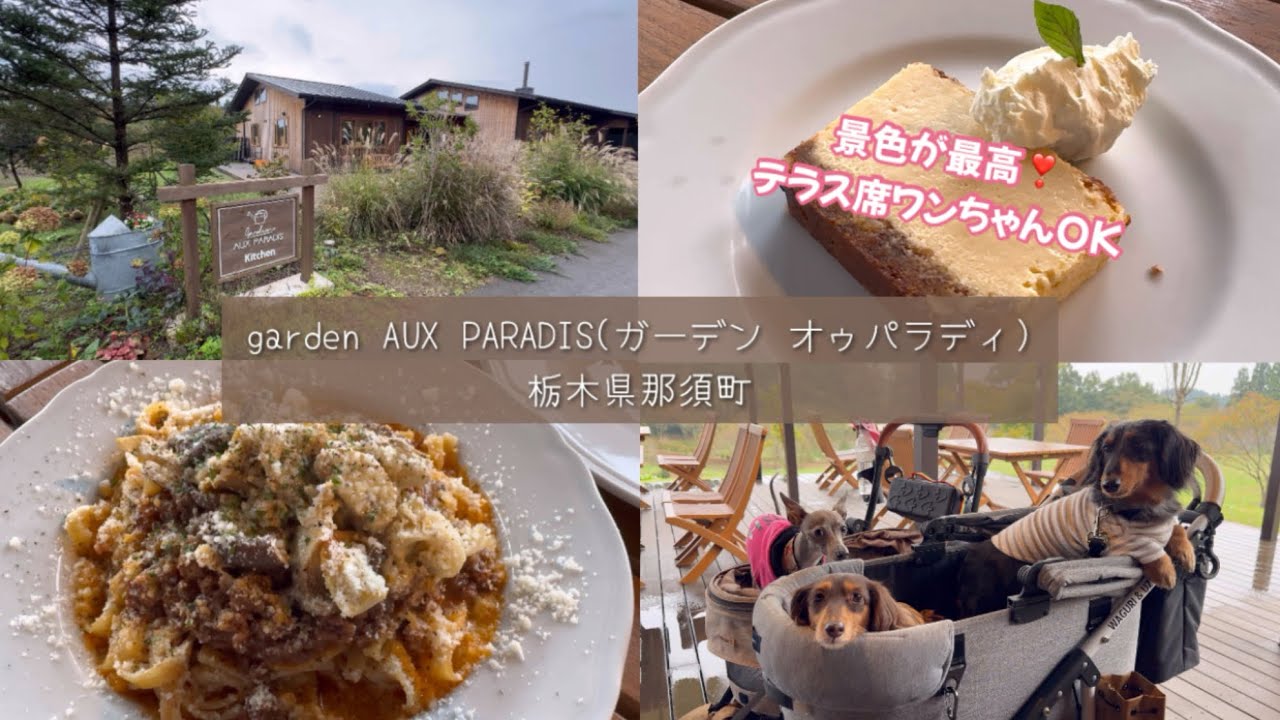 【犬と行けるカフェ栃木/那須】garden AUX PARADIS(ガーデンオゥパラディ)に行ってきたよ🐶栃木県那須町🐶テラス席ワンちゃんOK