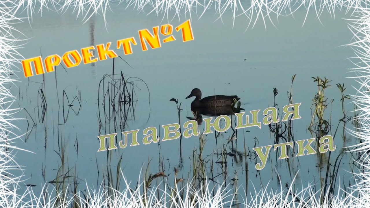 Плавающая утка своими руками