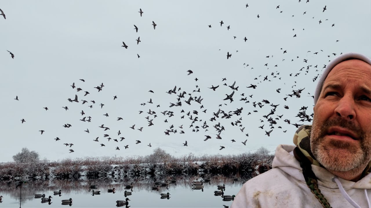REMOTE Mountain River LOADED with Mallards in the SNOW!!!