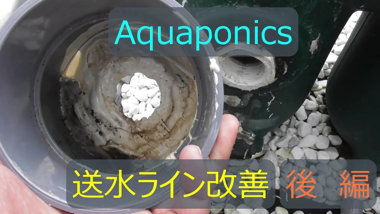 #11 フィルターの水漏れが再び発生！送水ラインの改善作業（後編）