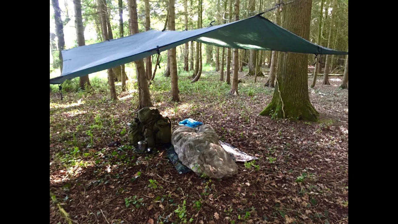 SOLO TARP CAMP, FIRST USE OF  BUSHBOX XL AND SPRING DAWN CHORUS