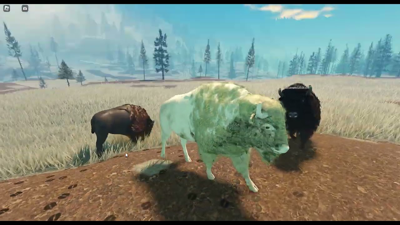 -roblox yellowstone unleashed- the white bison-part 2