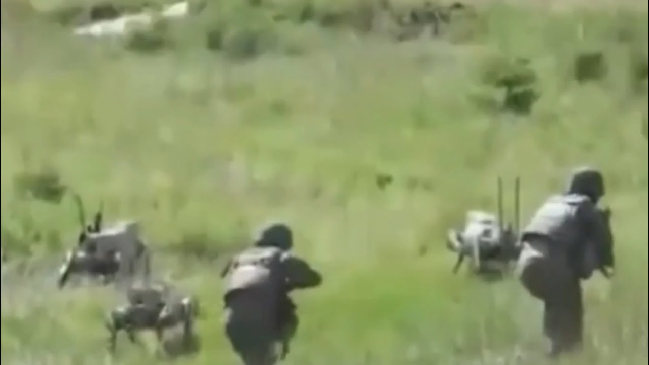 ‘Covered in blood’: China creates robot wolves to fight alongside their soldiers