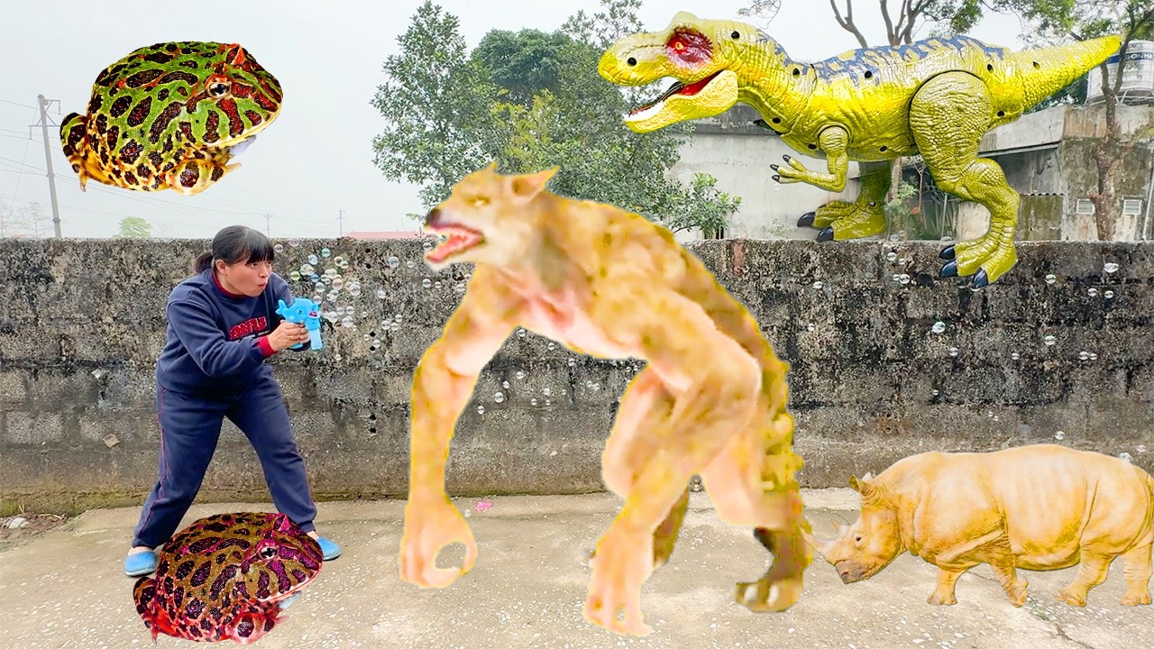 Kem Ốc và xe khủng long ba sừng bắt chó sói hung giữ, tê giác, ếch pacman, cho ếch ăn. Theu Chanel