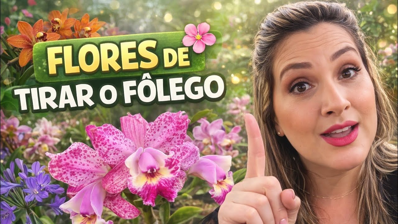 Visita à Floricultura Vista da Serra – Parte 2 