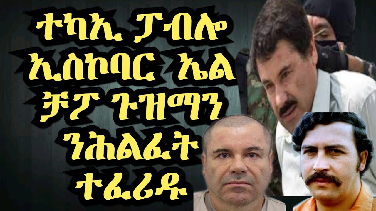 #fnantube ተካኢ ፓብሎ ኢስኮባር ዝተባህለሉ ኤል ቻፖ ጉዝማን ንሕልፈት ተፈሪዱ