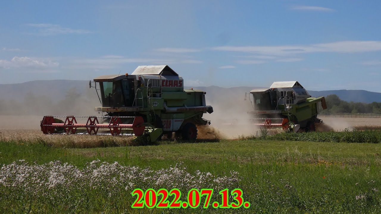 🌾🚜│2022.07.13.│Claas Mega 360 & Dominator 208│Árpa aratás│🌾🚜☀️🇭🇺