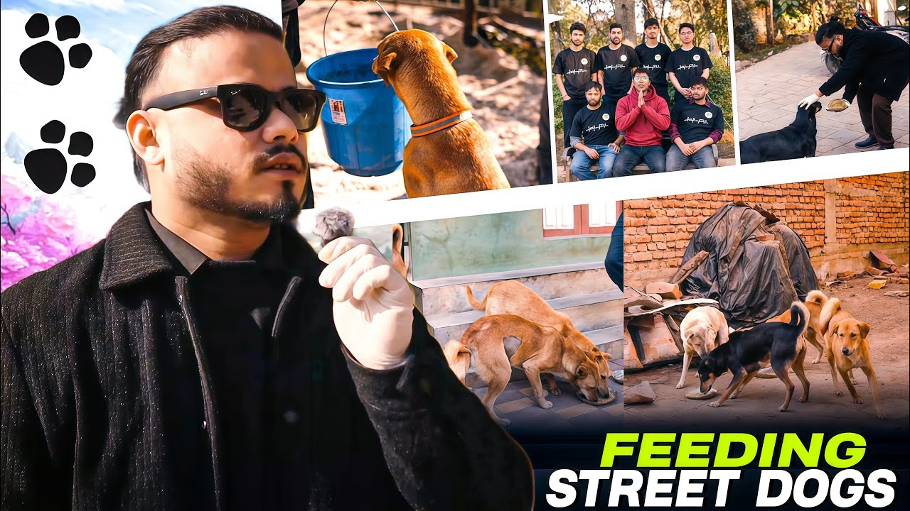 We Fed Hungry Street Dogs | A Small Act, A Big Change 🐶