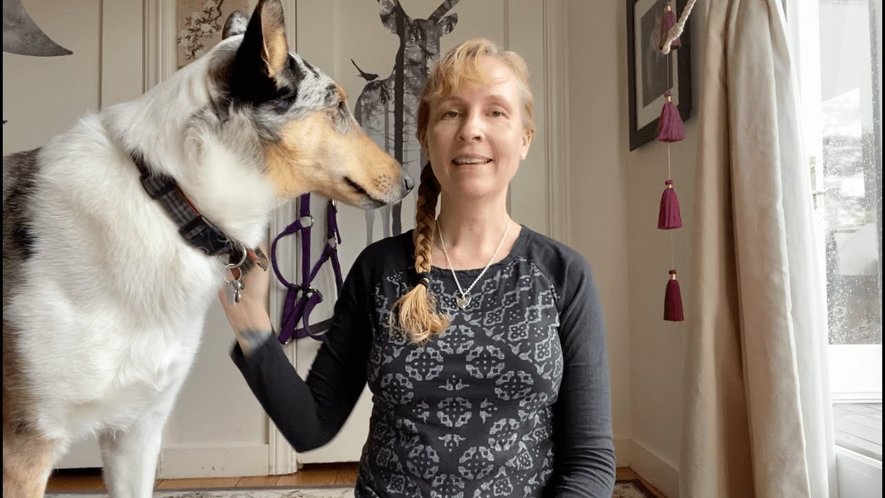Animal Reiki Meditation with Dog Energy: Honoring Others by Listening from the Heart