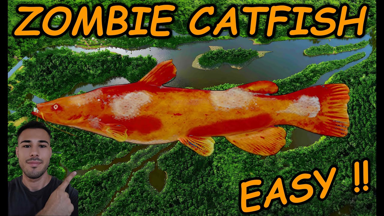 Zombie Cat Monster - Quanchkin Lake// Cum Prinzi Somnul Zombi  În Fișhing Planet România 2025