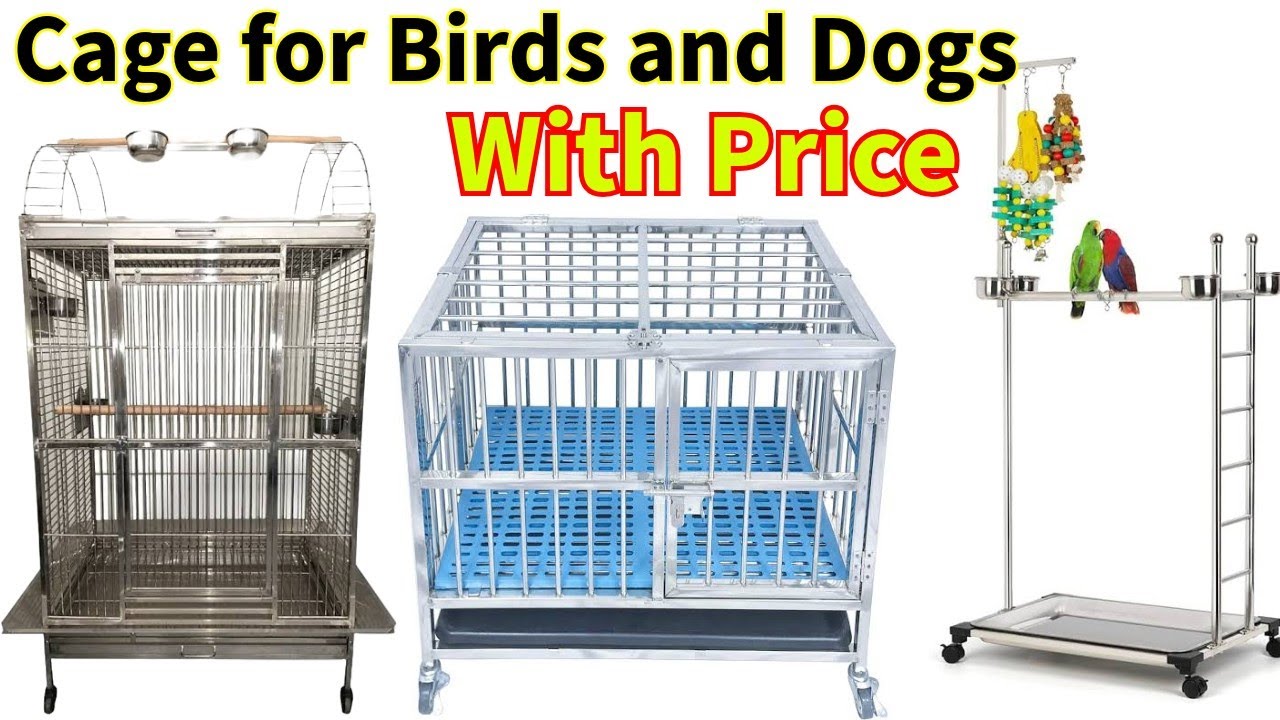 stainless steel cage for parrot price | cages for dogs | Bird stand | Hand feeding cages