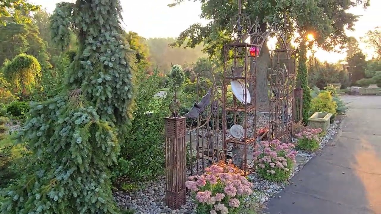 September 17th 2025  Morning Light