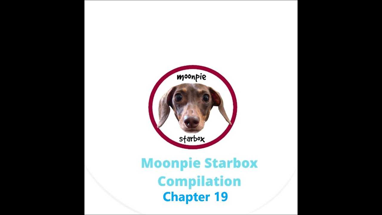 Chapter 19:  Moonpie Starbox TikTok Compilation
