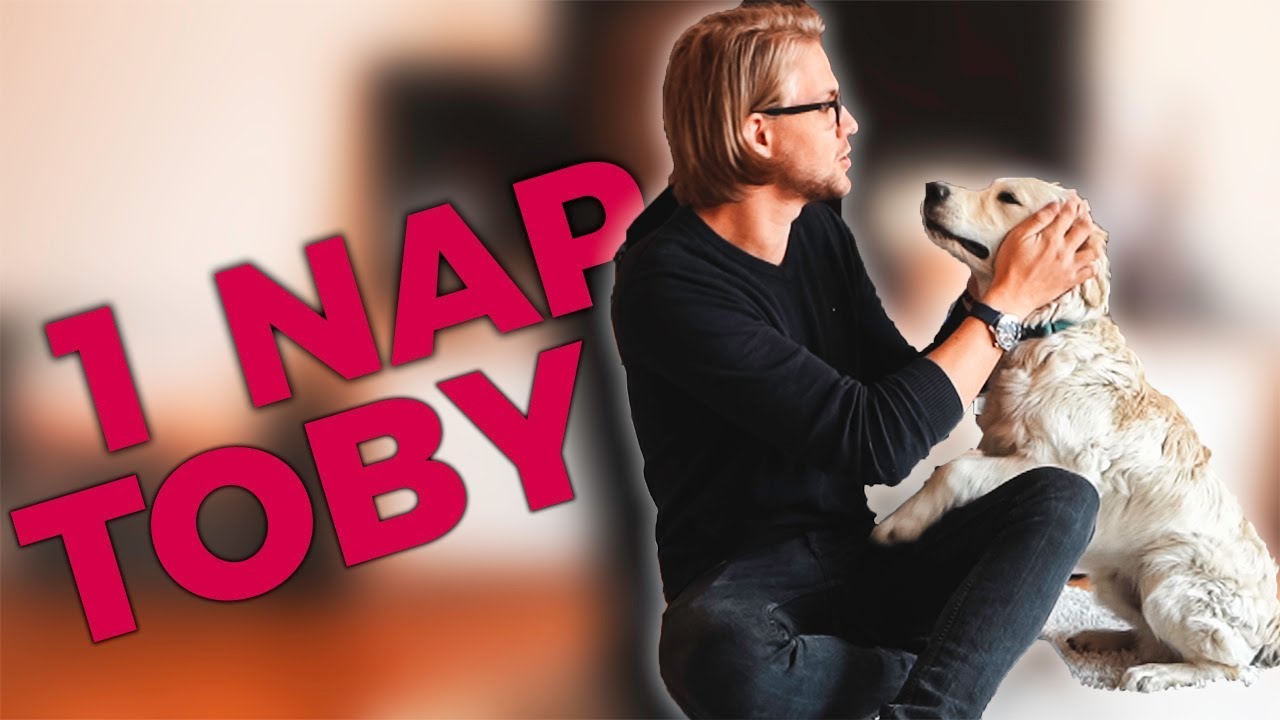 MEGKAPTAM TOBY-t EGY NAPRA 🐶😱