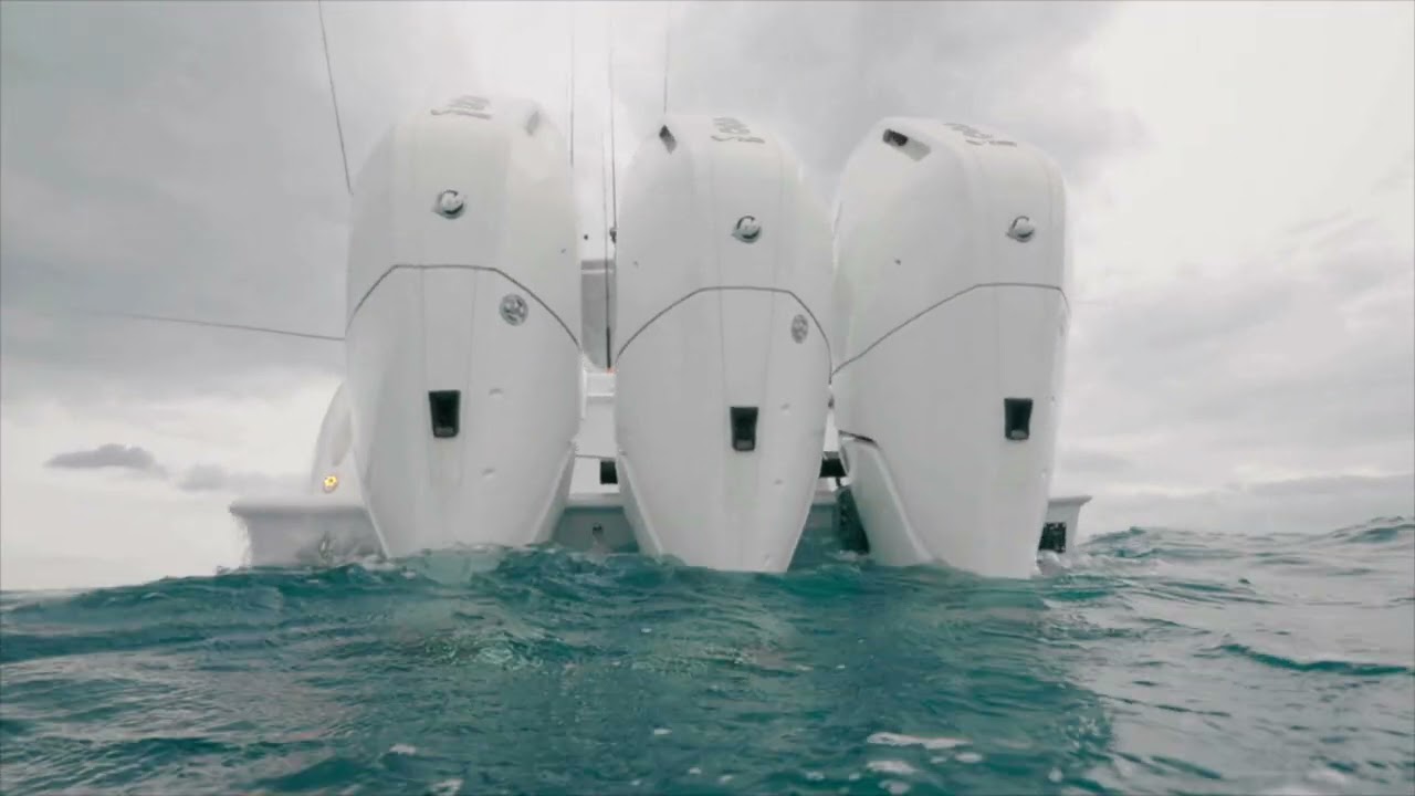 Sea Trial - Bait Stop